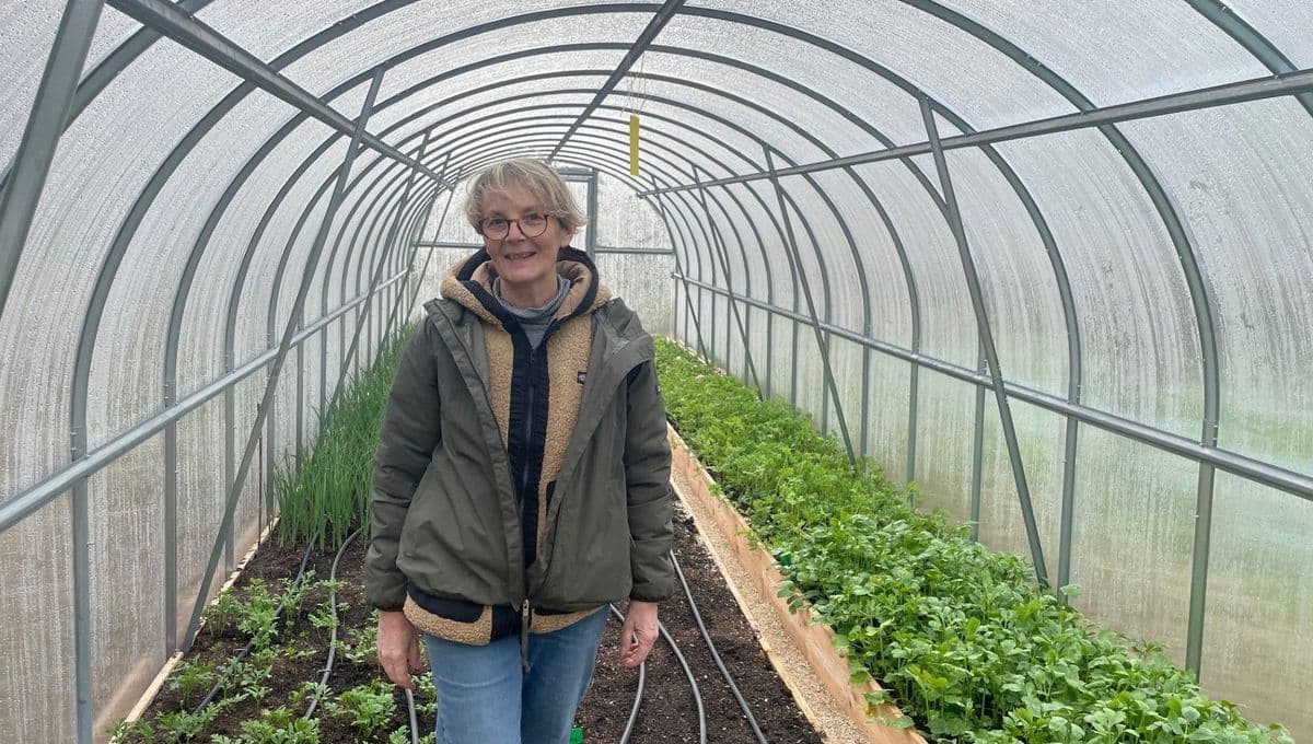 Fleurs séchées: l'alternative méditerranéenne à l'import